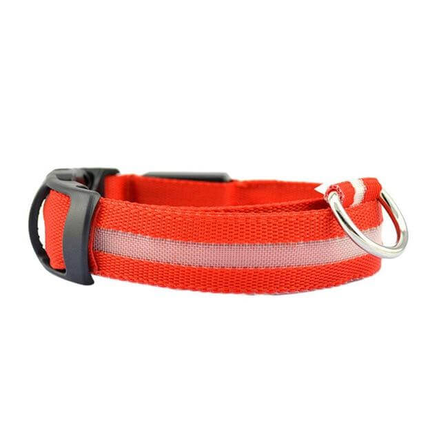 Maliben | GlowPets LED Collar – Safety & Visibility for Pets
