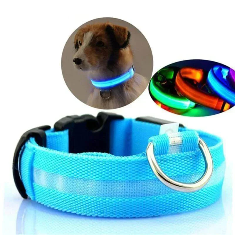 Maliben | GlowPets LED Collar – Safety & Visibility for Pets