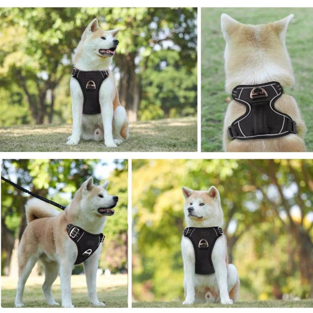 PowerHarness • No Pull Dog Harness