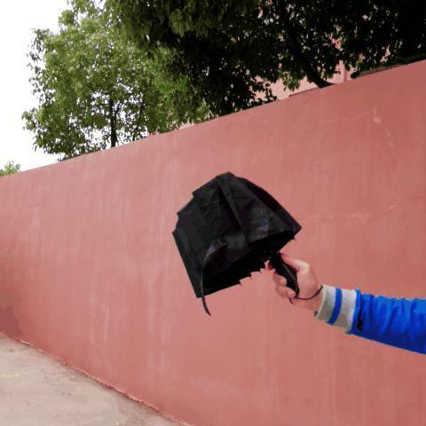 Maliben | Luxury Automatic Open & Close Umbrella Folding Wind Water Resistant
