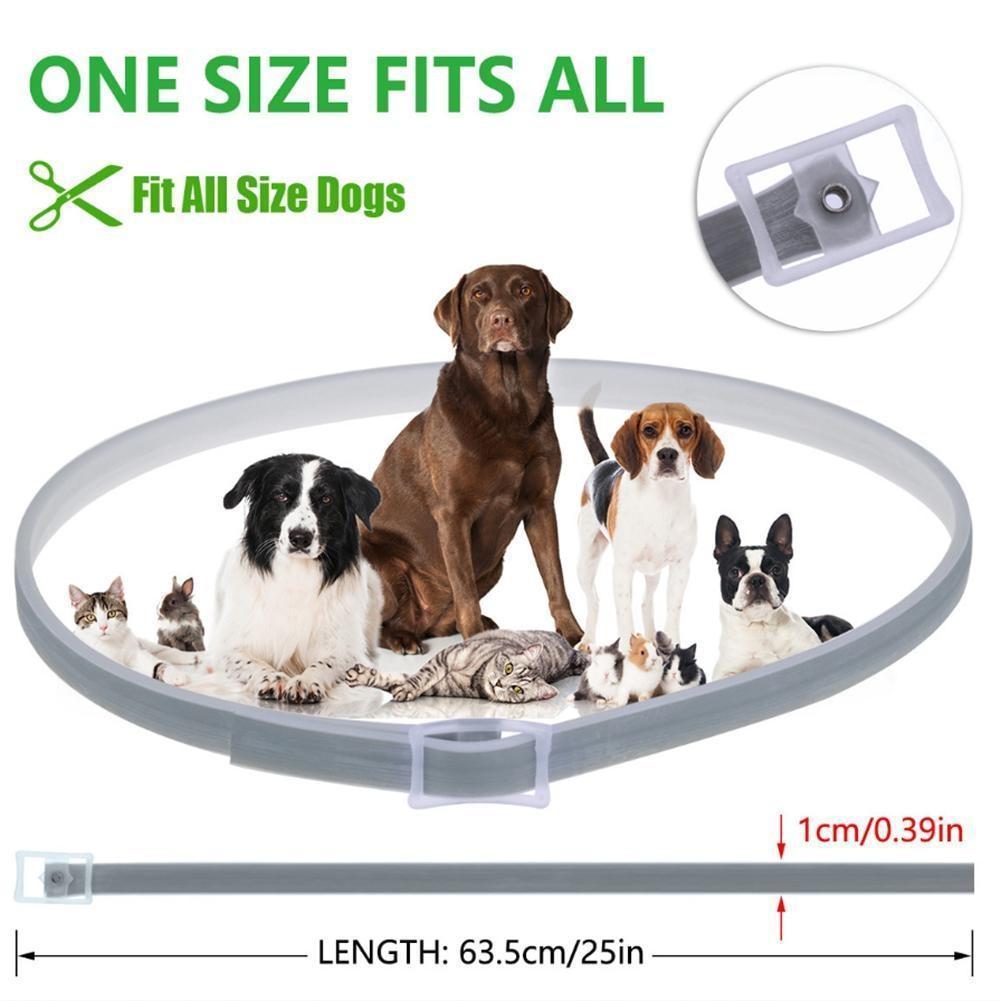 Maliben Tick and Flea Eliminating Dog Collar