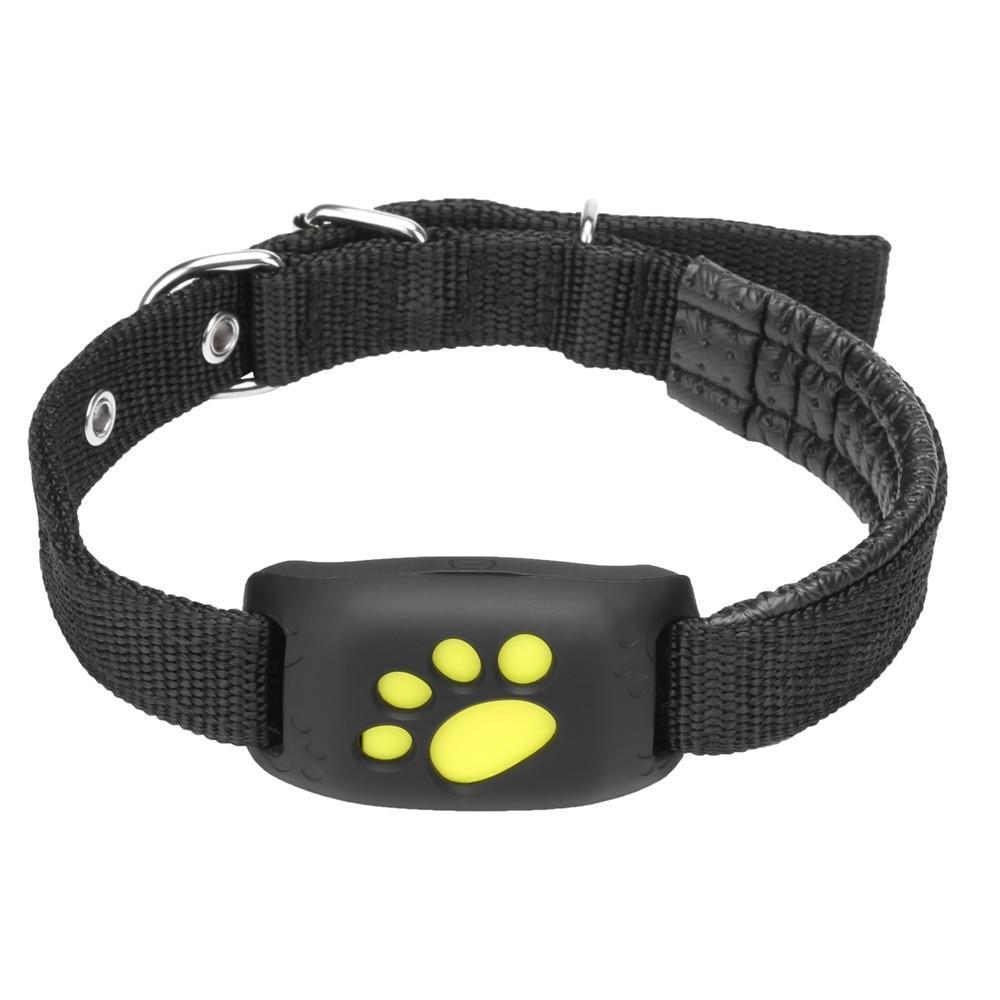 Maliben | GPS Dog Collar