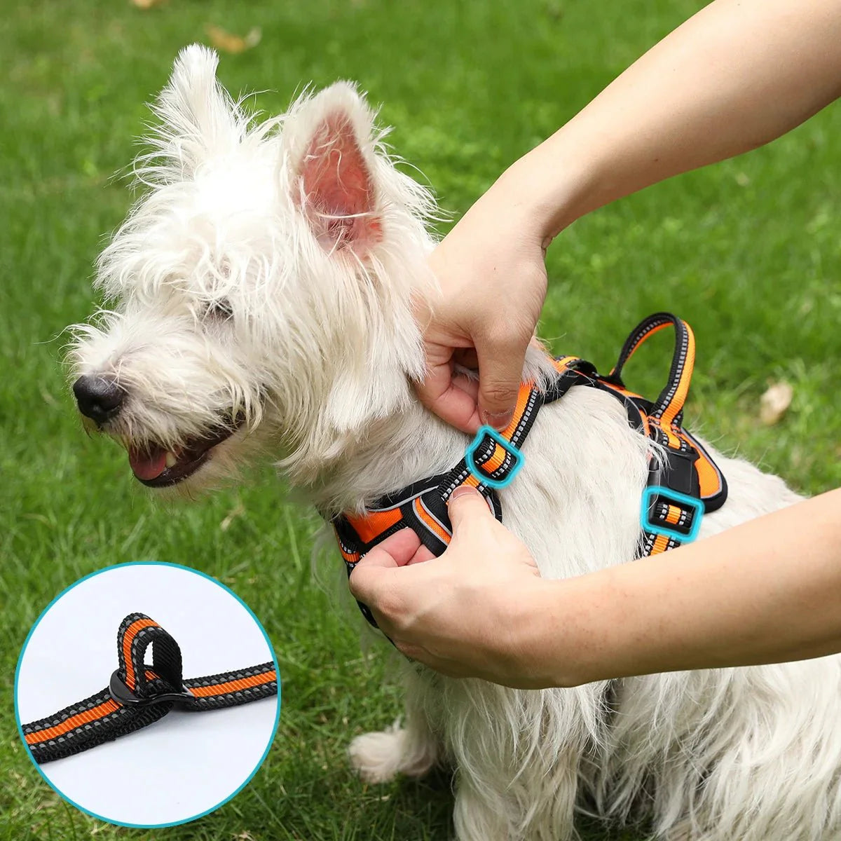 ReflectaGuard • No Pull Dog Harness