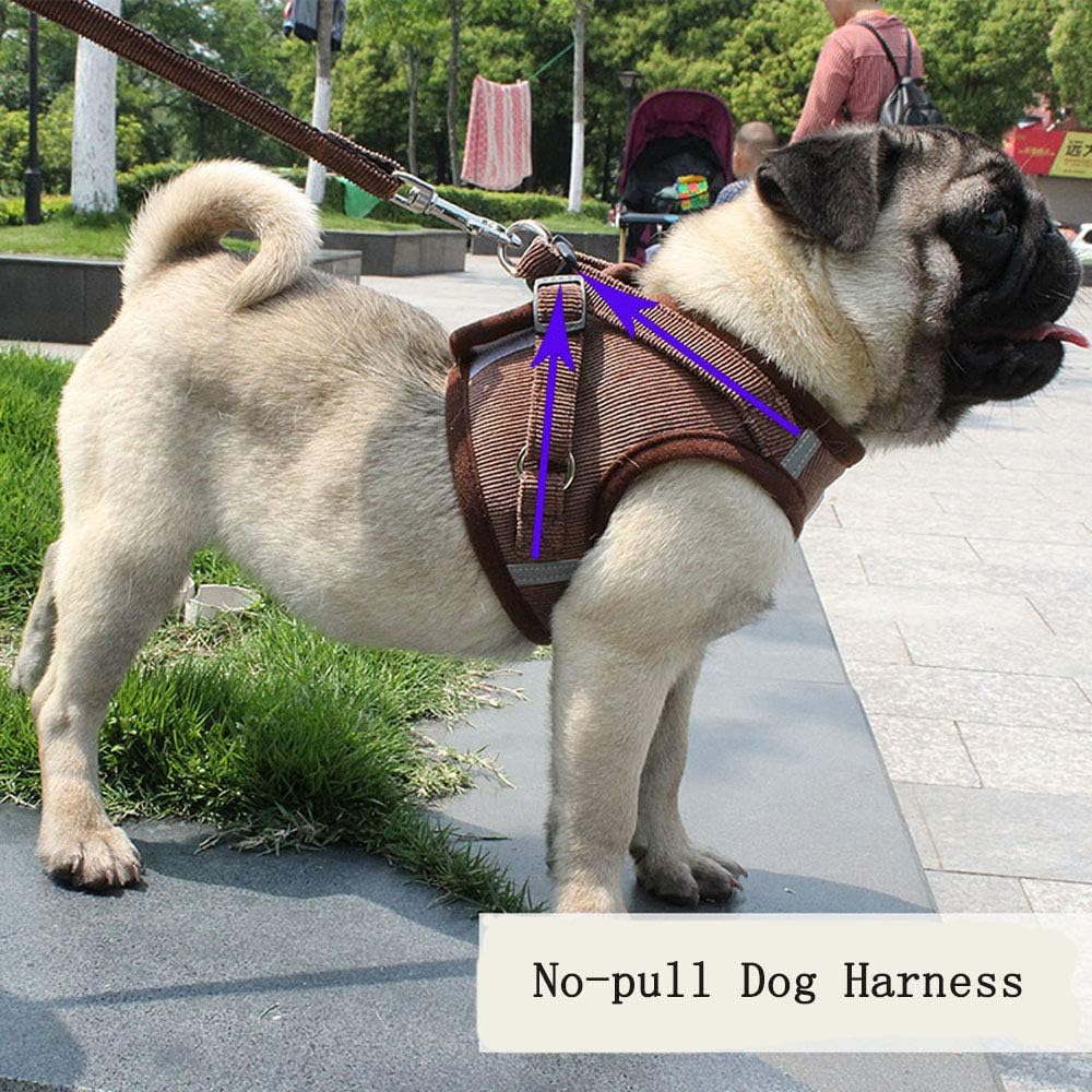 ReflectaHarness • No Pull Dog Harness — Maliben pet accessory