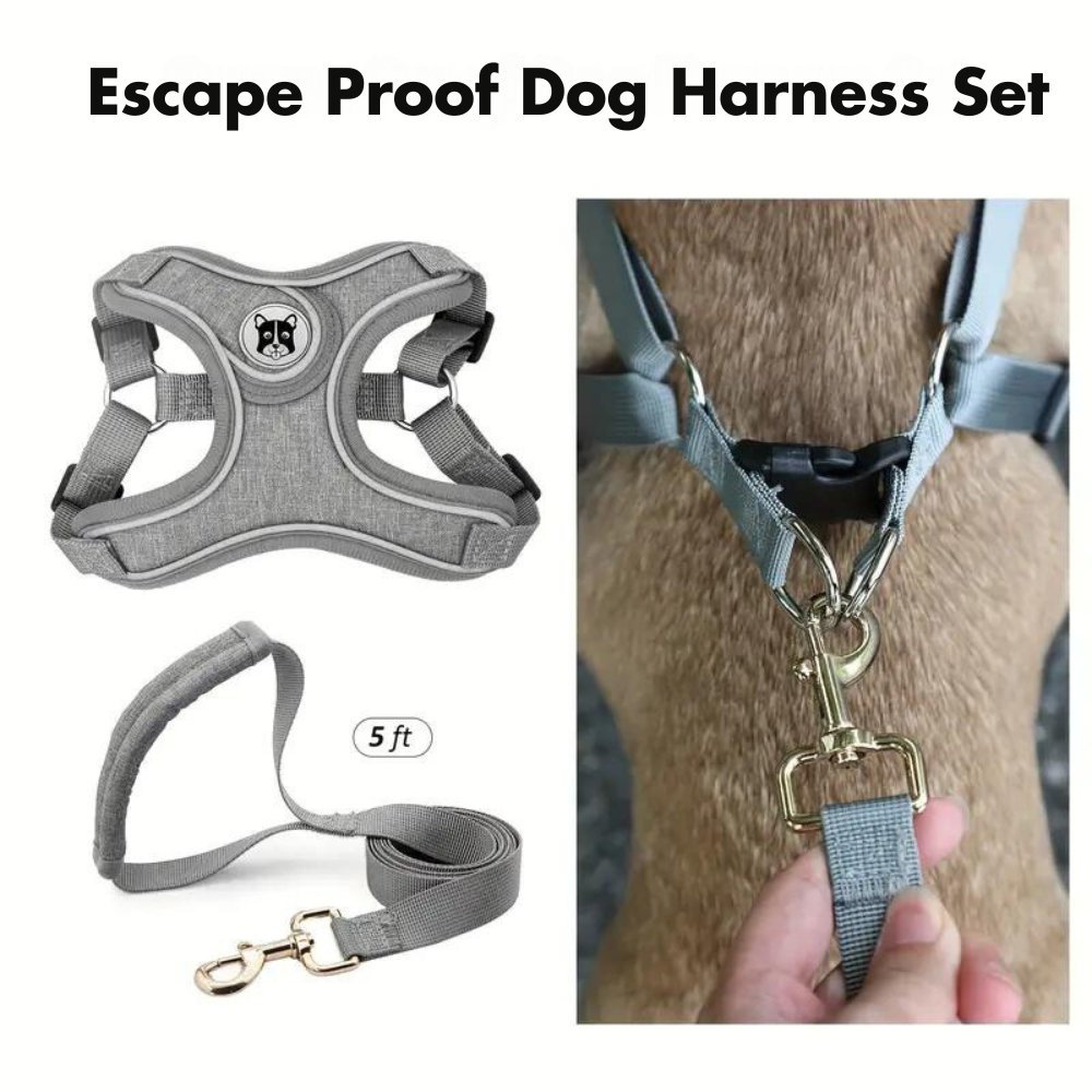 ReflectoLeash • No Pull Dog Harness