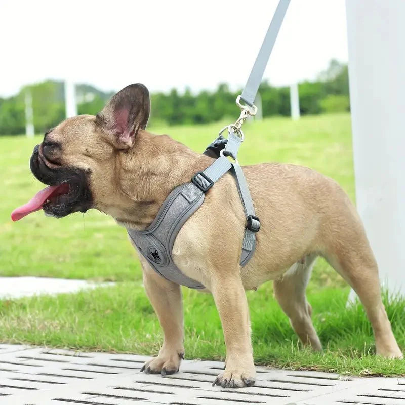 ReflectoLeash • No Pull Dog Harness — Maliben pet accessory
