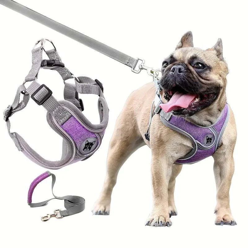 ReflectoLeash • No Pull Dog Harness