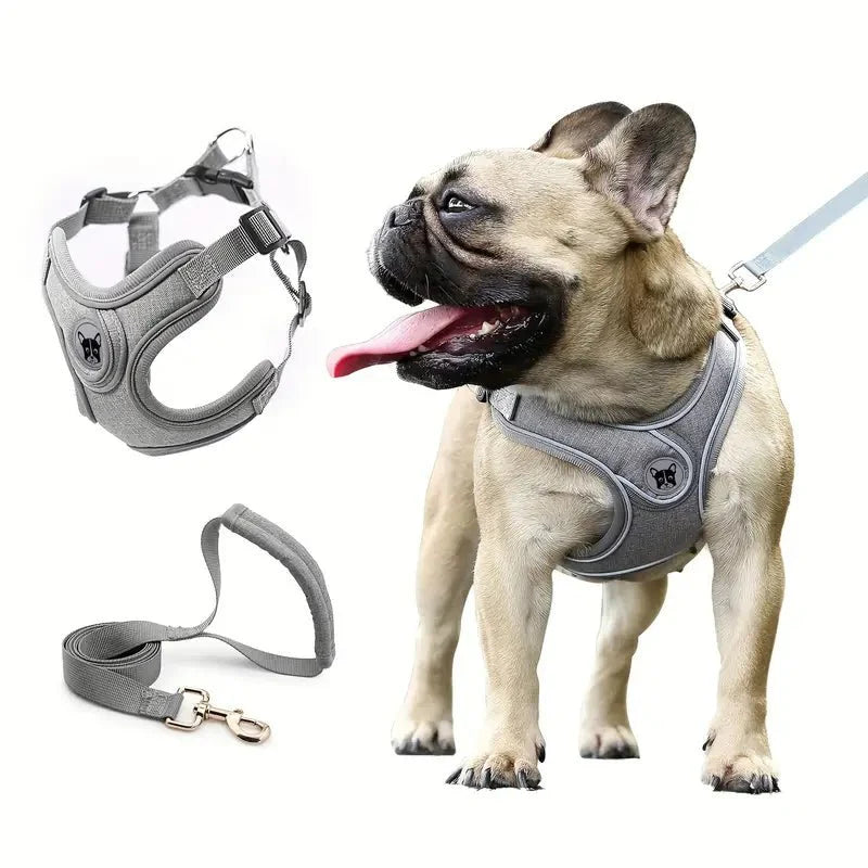 ReflectoLeash • No Pull Dog Harness
