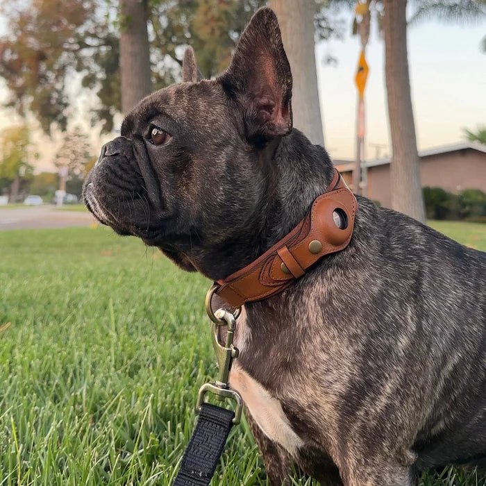 SafeTrack • Premium AirTag Dog Collar — Maliben pet accessory