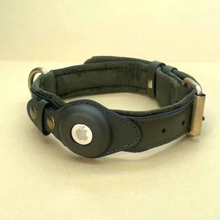 SafeTrack • Premium AirTag Dog Collar