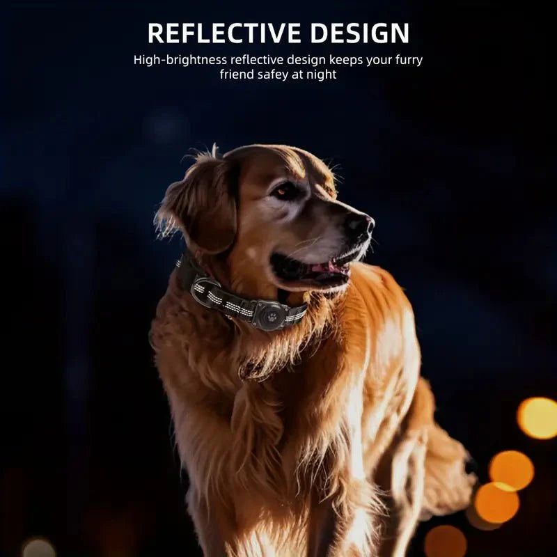 SecureTrack • AirTag Dog Collar