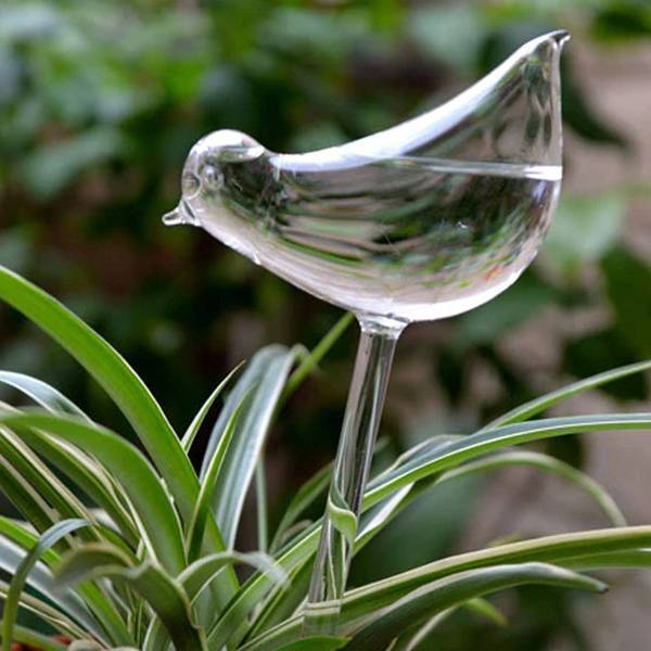 Maliben | Self-Watering Plant Bulb