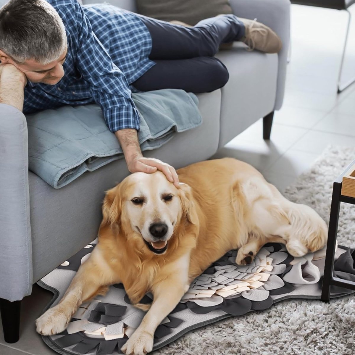 SniffMat • Dog Snuffle Mat