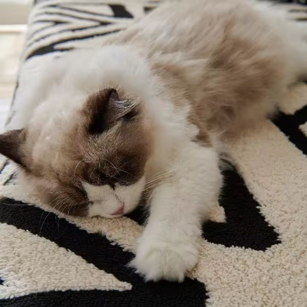 Maliben | SofaTect – Soft, durable microfiber sofa cover, non-slip and easy to clean