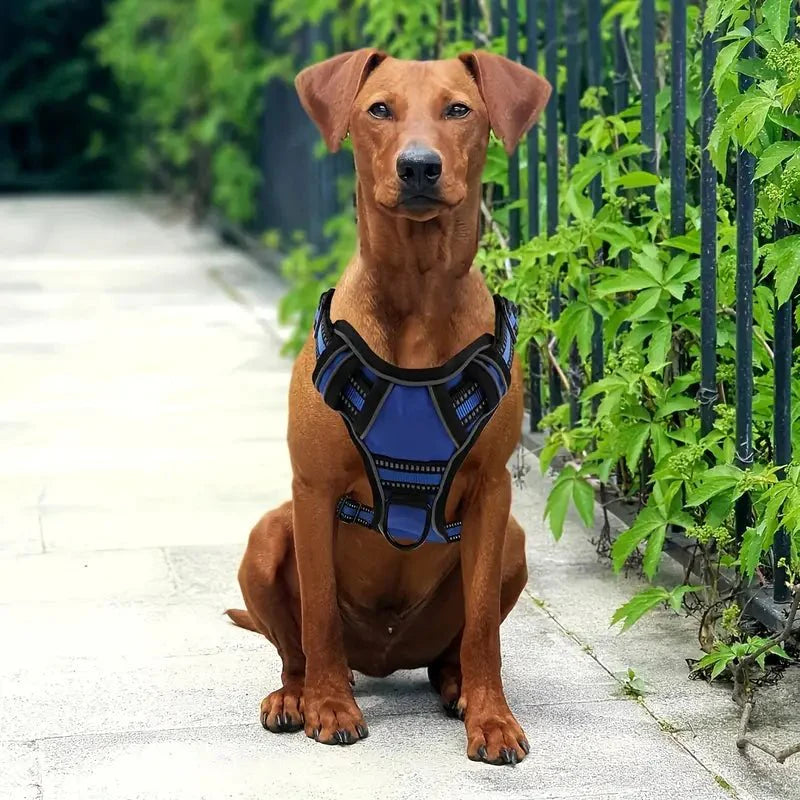 TotalControl • No Pull Dog Harness — Maliben pet accessory