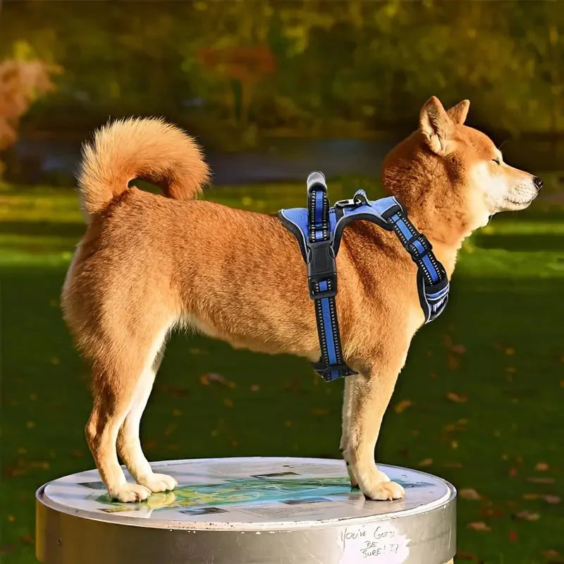 TotalControl • No Pull Dog Harness