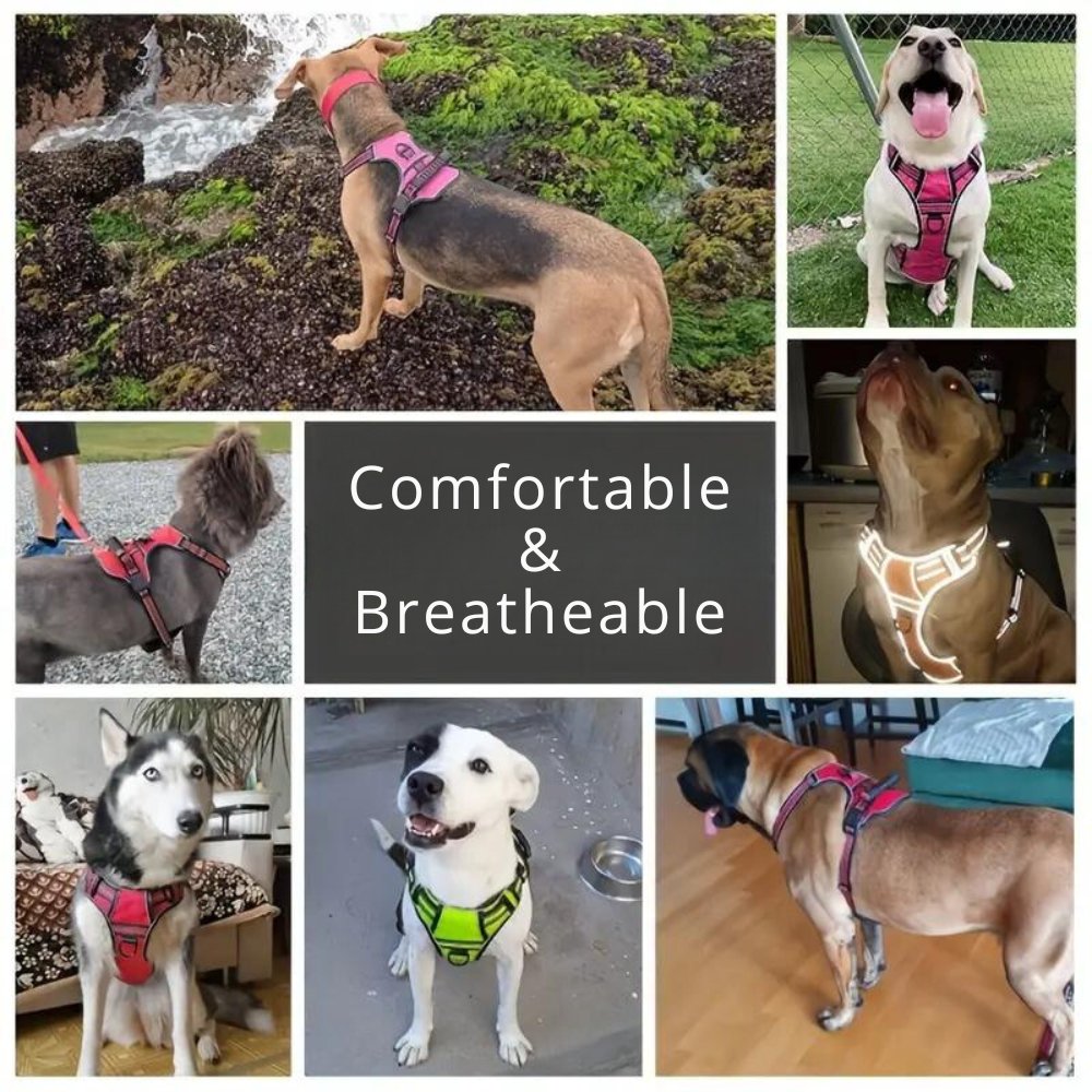 TotalControl • No Pull Dog Harness
