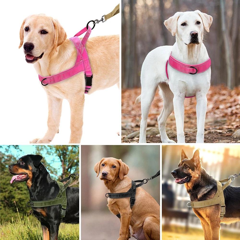 TruHarness • No Pull Dog Harness