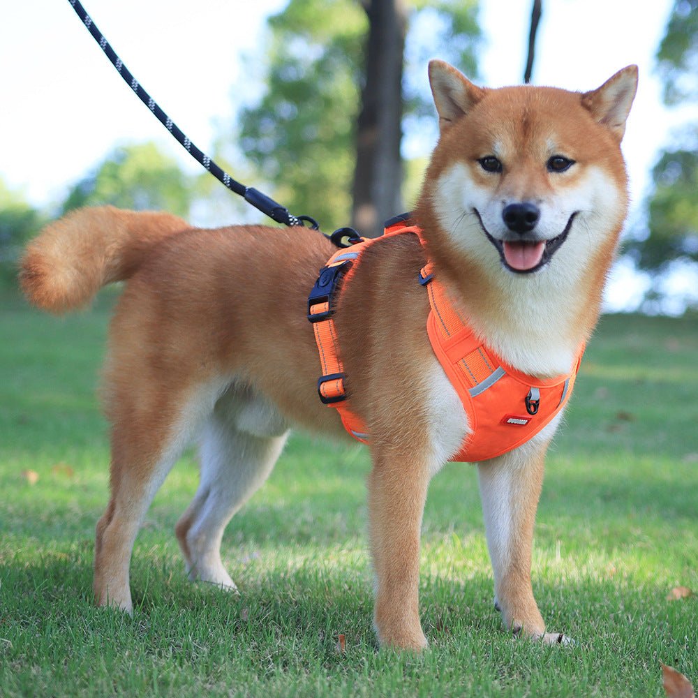 Maliben WalkEase Harness – Anti-pull dog harness for relaxed walks & healthy posture