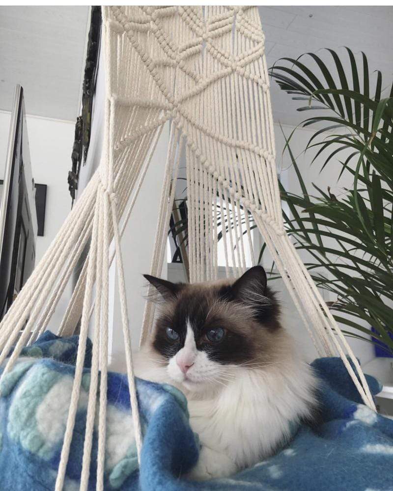 Maliben | Macrame Wall Hanging Cat Bed
