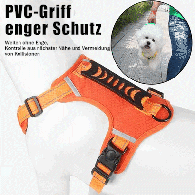 Maliben | No Pull Dog Harness for Pets
