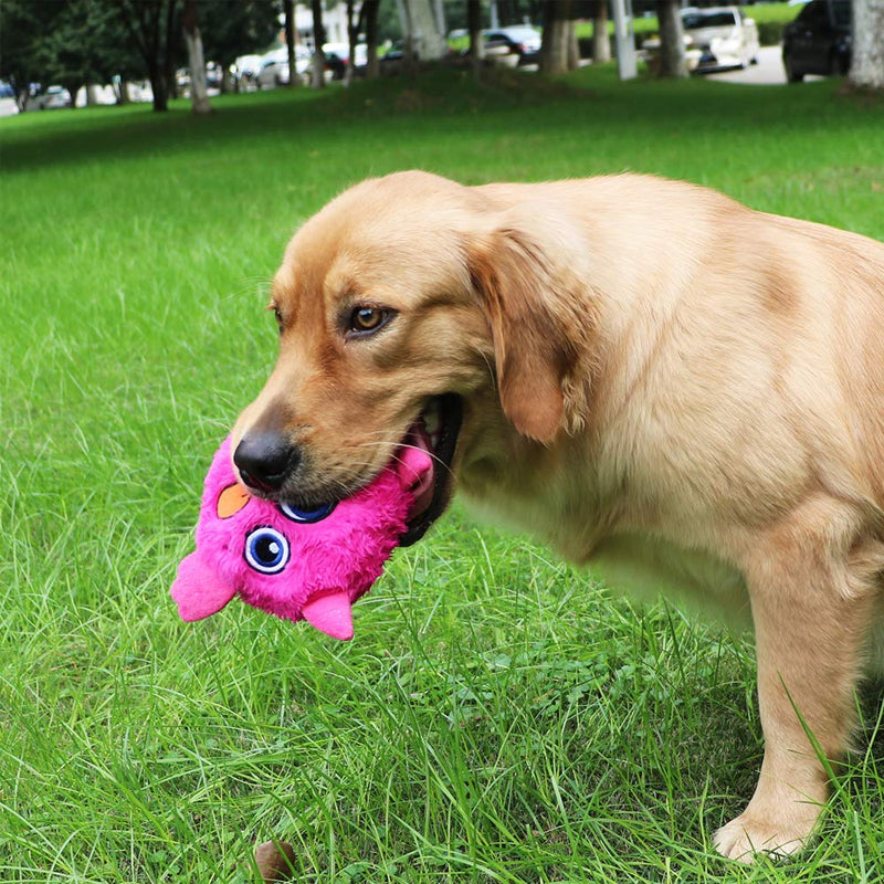 Maliben | Active Ball Of The Monster Dog