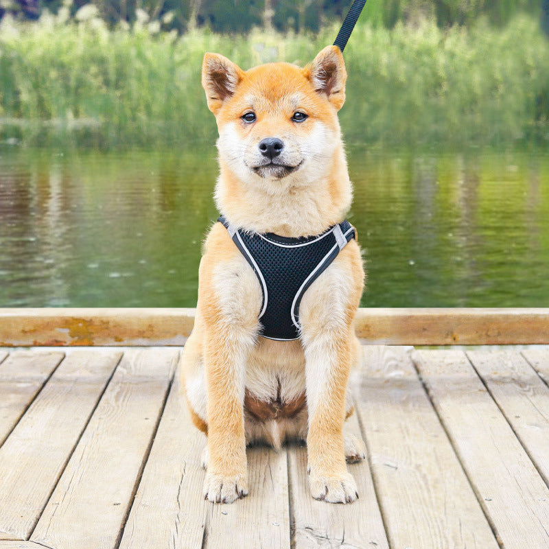 Maliben | Pet Chest Harness