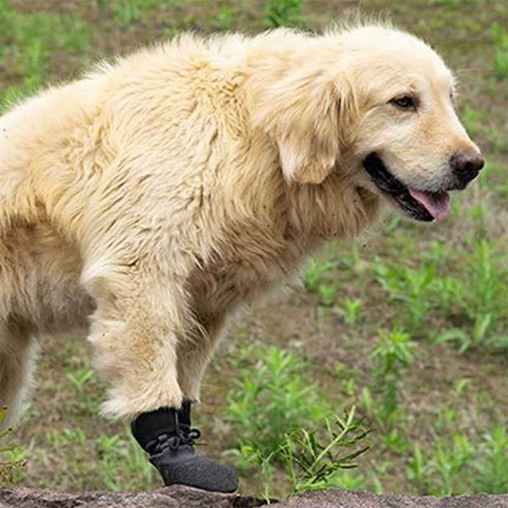 Maliben | Outdoor Waterproof Breathable Hiking Running Non-Slip Dog Shoes