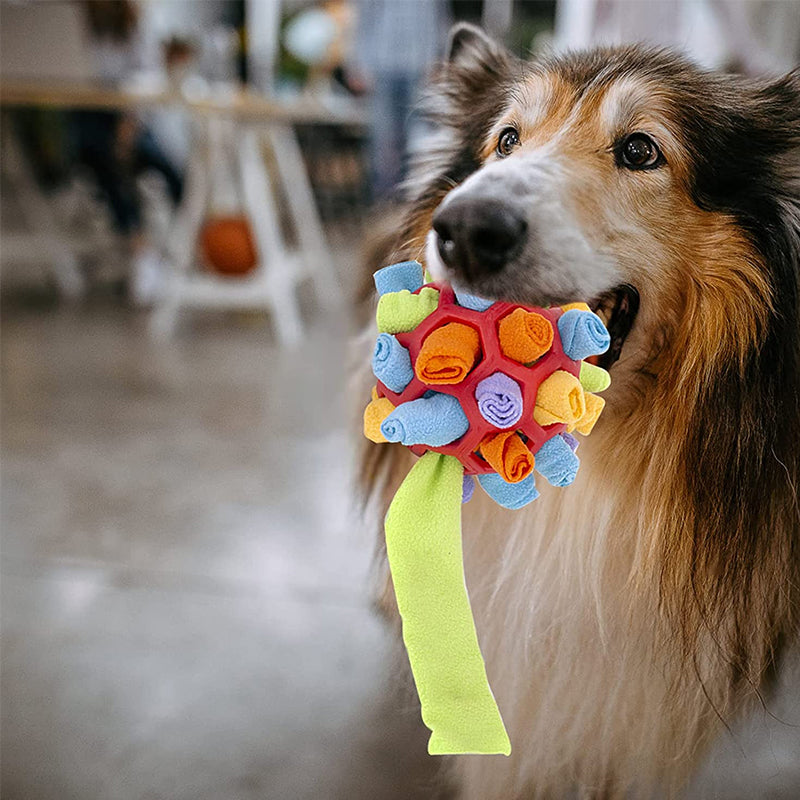 Maliben | Snuffle Ball For Pets