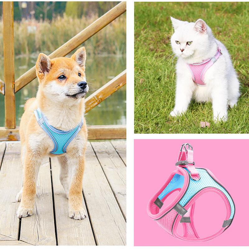 Maliben | Pet Chest Harness