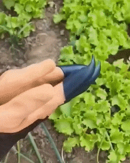 Maliben | Garden Planting Gloves