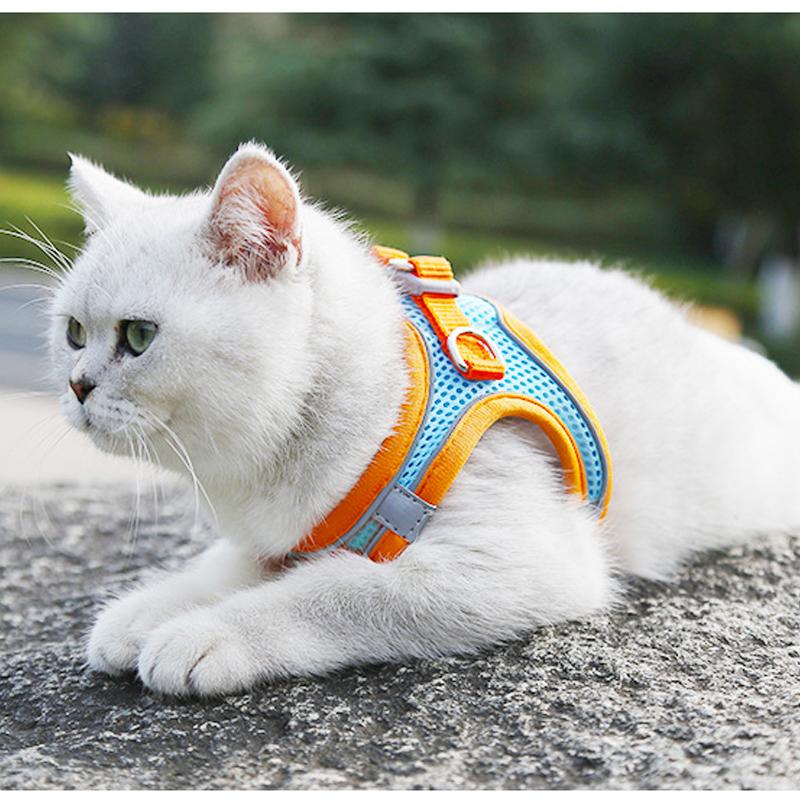 Maliben | Pet Chest Harness