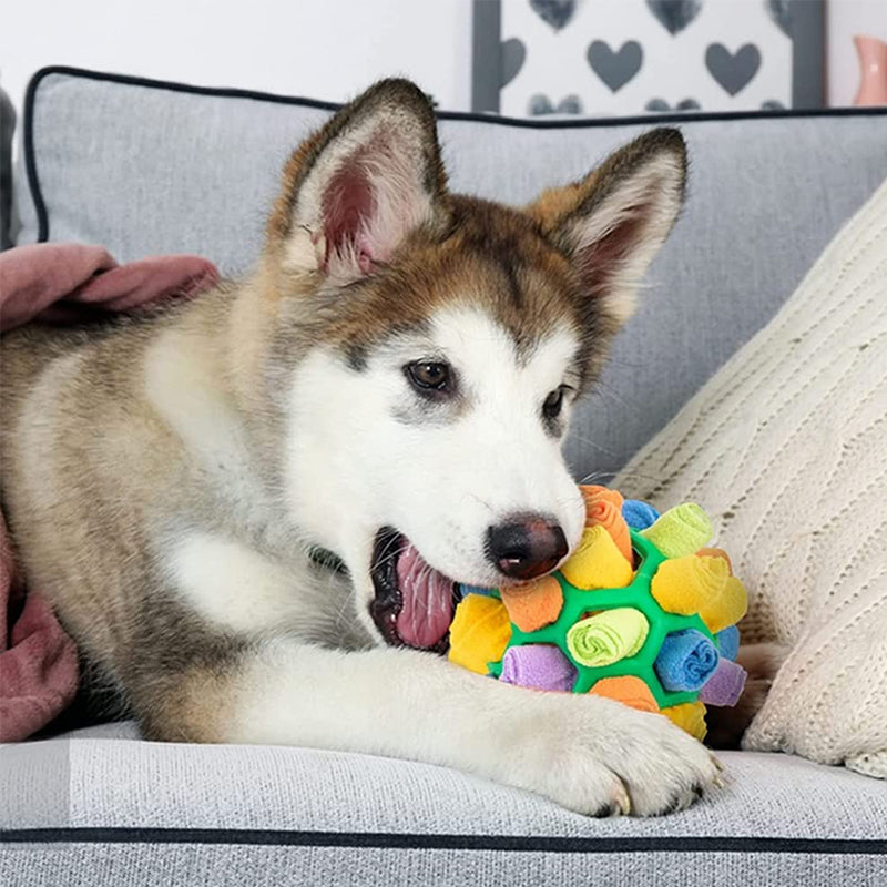 Maliben | Snuffle Ball For Pets