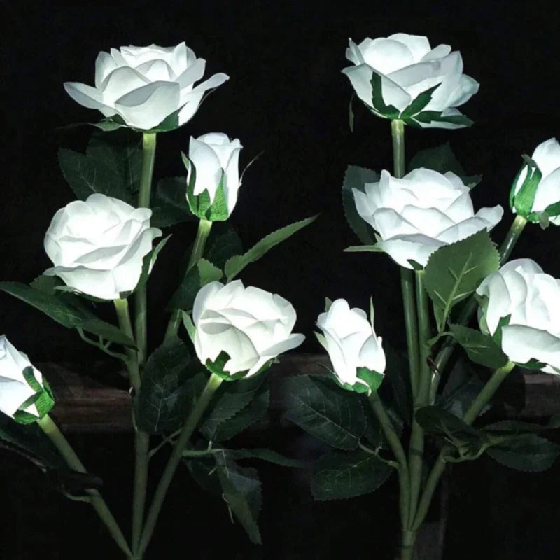 Maliben | Everbloom Solar Flower Lights