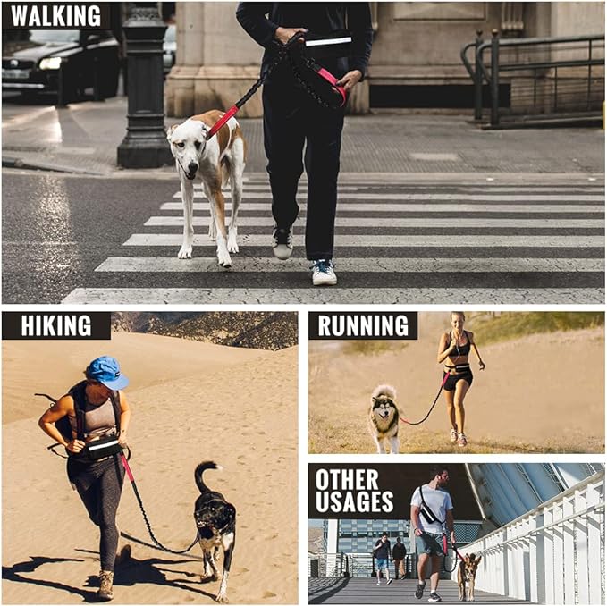 Maliben | PawsFree Pro – Enjoy Stress-free Walks With Your Dog