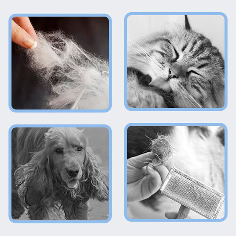 MAliben | TidyFurr – Simple fur Care For a Clean, Happy Home