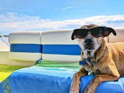 Maliben | Cooling mat for pets with non-toxic self-cooling gel