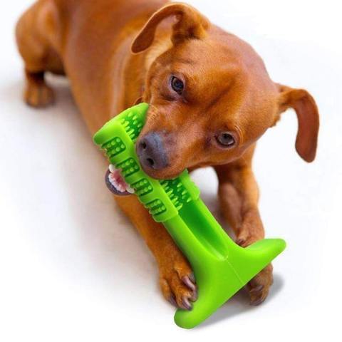 Maliben | World's Most Effective Dog Toothbrush