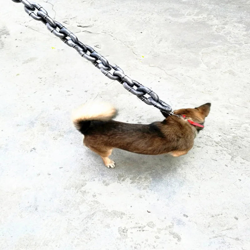 Maliben | Funny Large Dog Collar