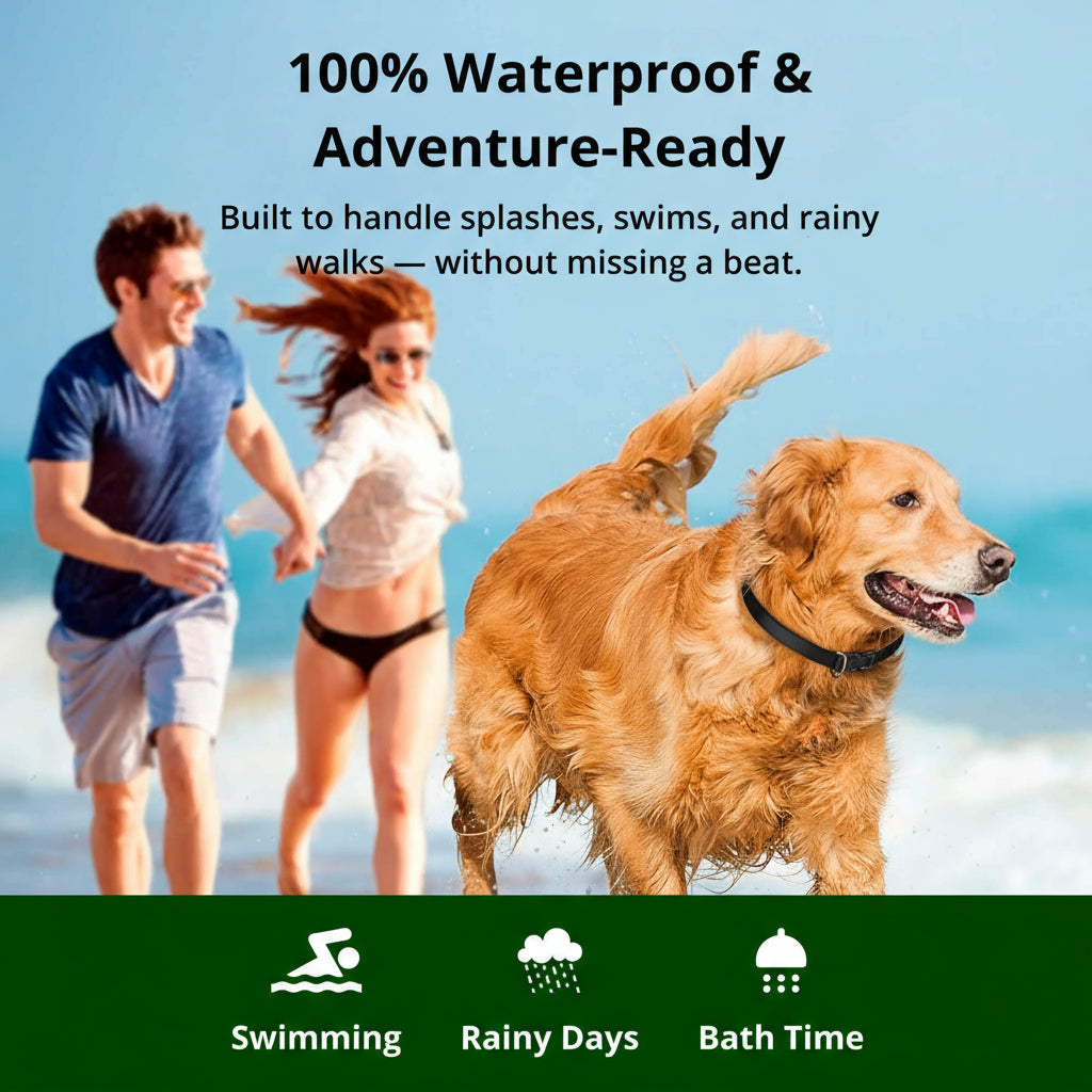 Maliben | 1000m Waterproof Dog Training Collar | Rechargeable, Remote Control & Adjustable for Small, Medium, and Large Dogs