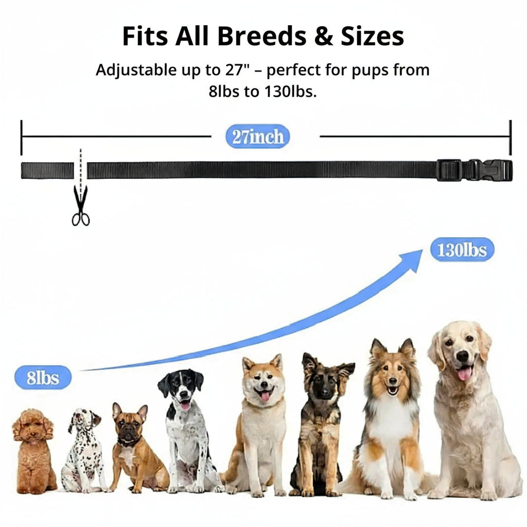 Maliben | 1000m Waterproof Dog Training Collar | Rechargeable, Remote Control & Adjustable for Small, Medium, and Large Dogs