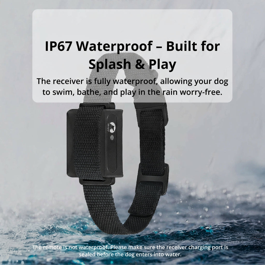 Maliben | 1000m Waterproof Dog Training Collar | Rechargeable, Remote Control & Adjustable for Small, Medium, and Large Dogs