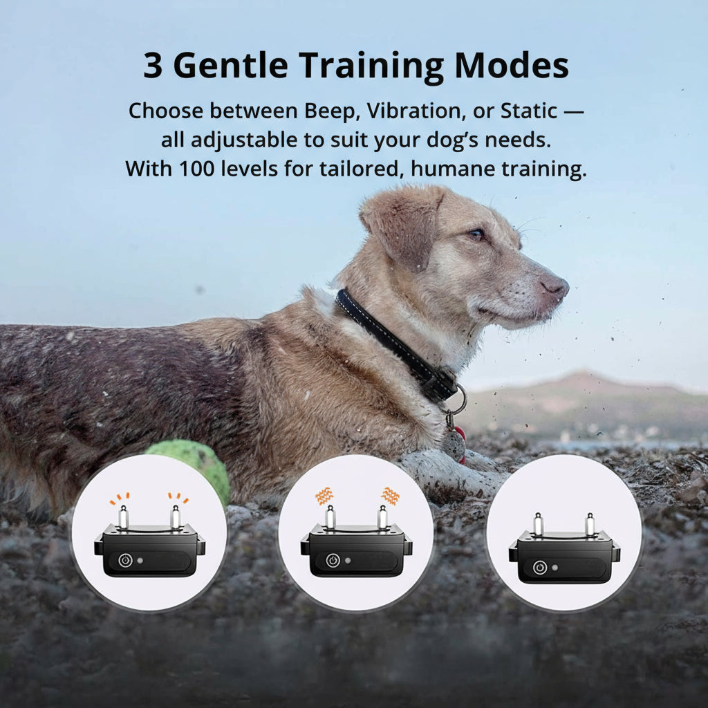 Maliben | 1000m Waterproof Dog Training Collar | Rechargeable, Remote Control & Adjustable for Small, Medium, and Large Dogs