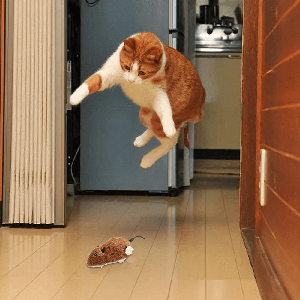 Wind-Up Interactive Cat Mouse Toy