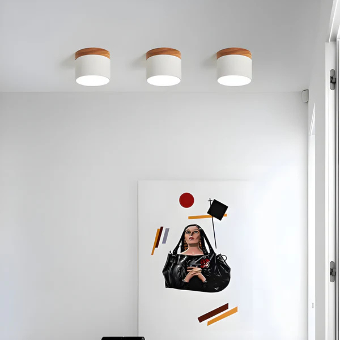 Maliben | Vintage Led Ceiling Lamp