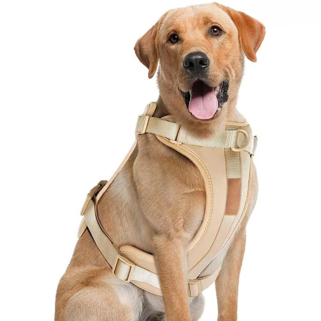 Maliben | ComfyPaws Dog Harness Walking Set with Leash and Poop Bag Holder