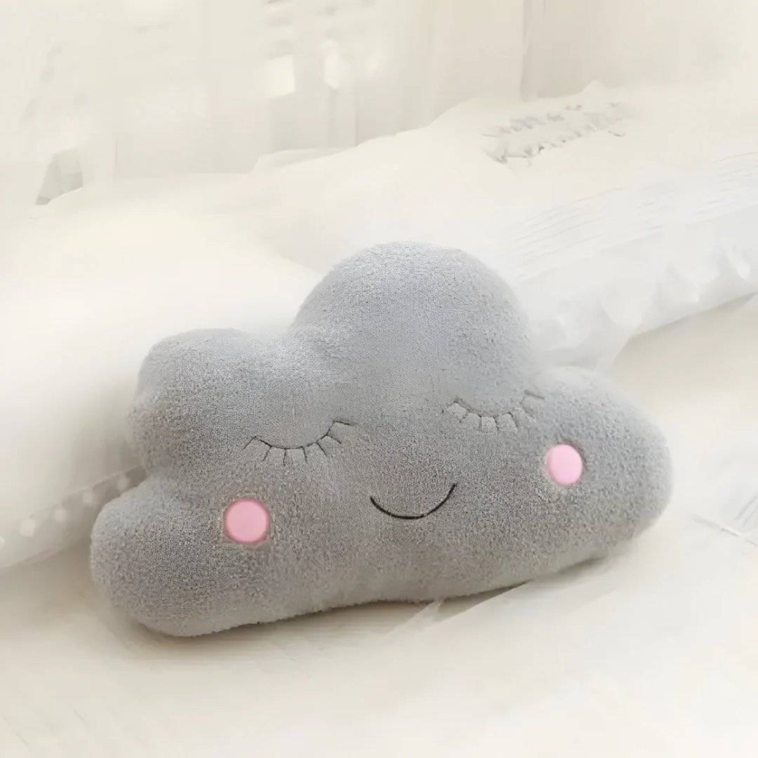 Maliben | Plush Decorative Cushion