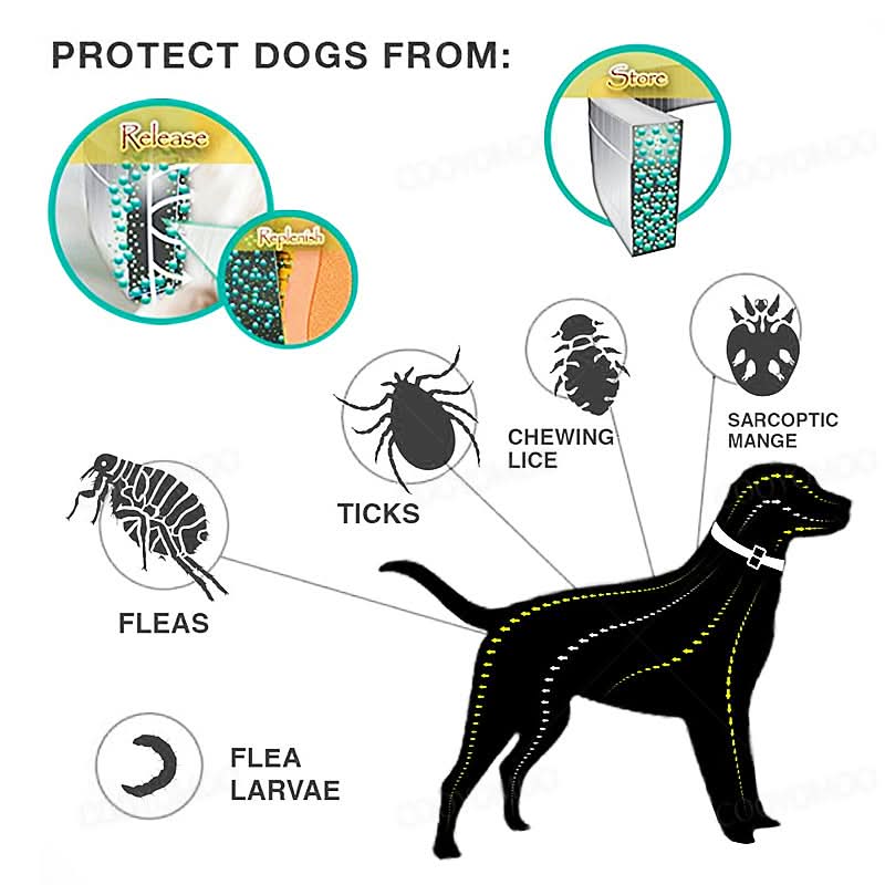 Maliben | PAWTECT - Anti-tick and flea collar