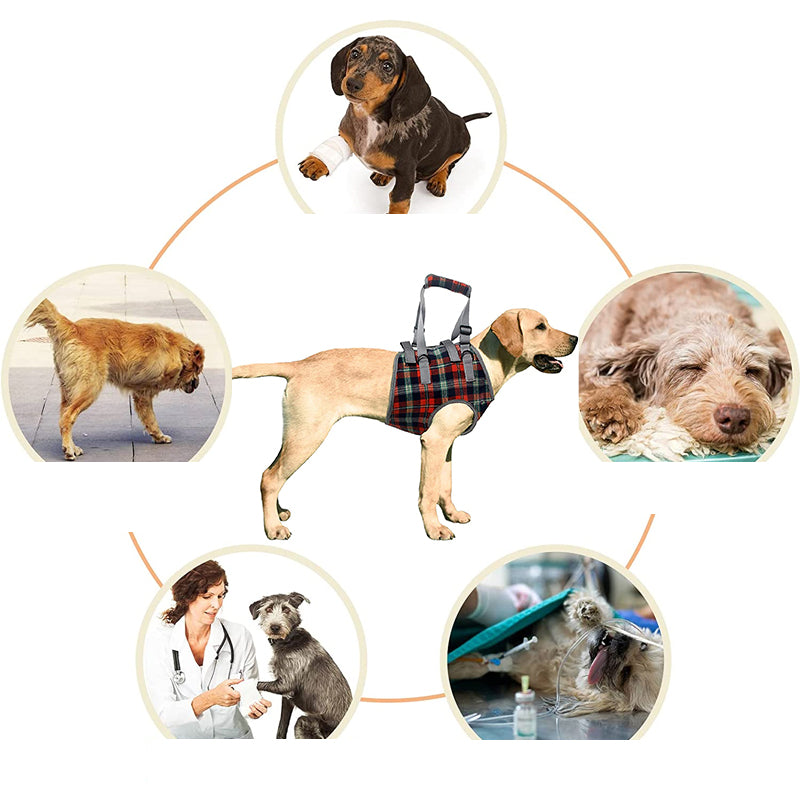 Maliben | Orthopedic Rear Leg Support Harness for Dogs – Ideal for Arthritis, Hip Dysplasia & Mobility Aid