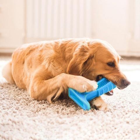 Maliben | World's Most Effective Dog Toothbrush